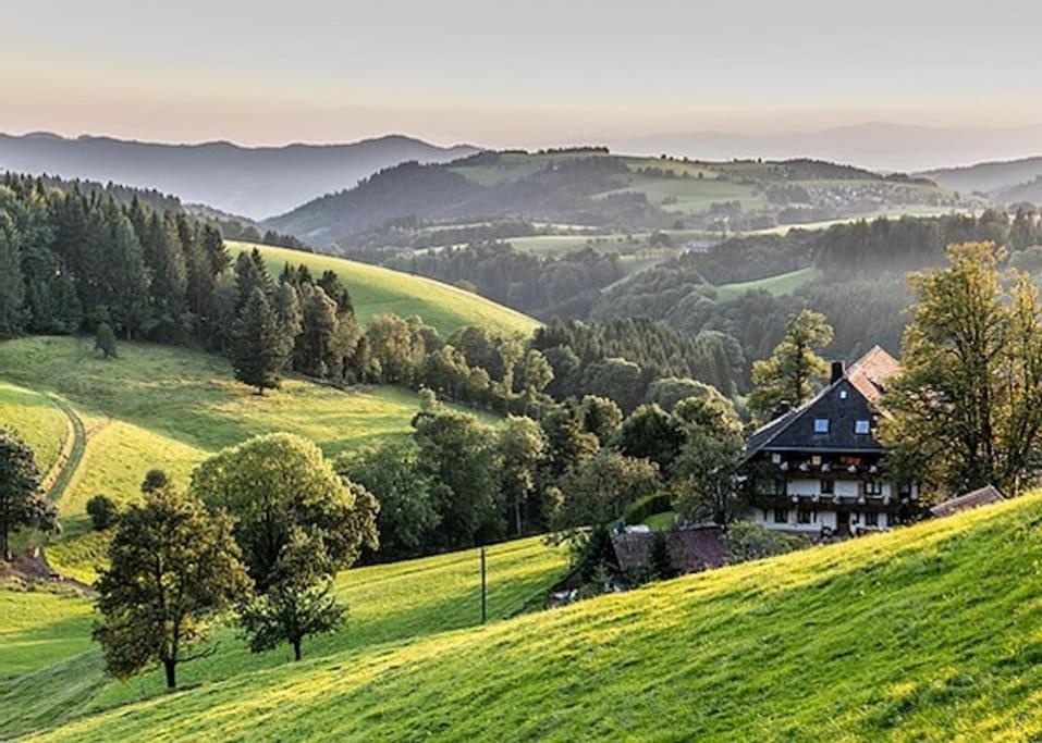 Ferienwohnung Lotti + Hochschwarzwald Card Titisee-Neustadt Buitenkant foto