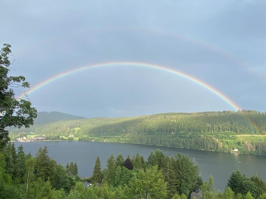 Ferienwohnung Lotti + Hochschwarzwald Card Titisee-Neustadt Buitenkant foto