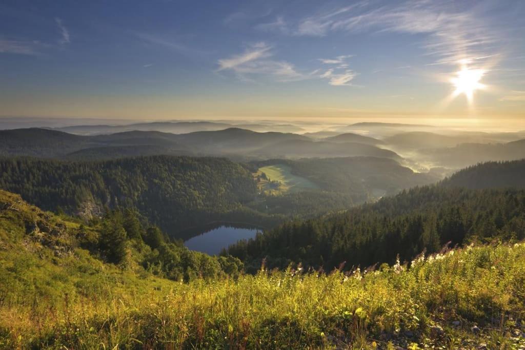 Ferienwohnung Lotti + Hochschwarzwald Card Titisee-Neustadt Buitenkant foto