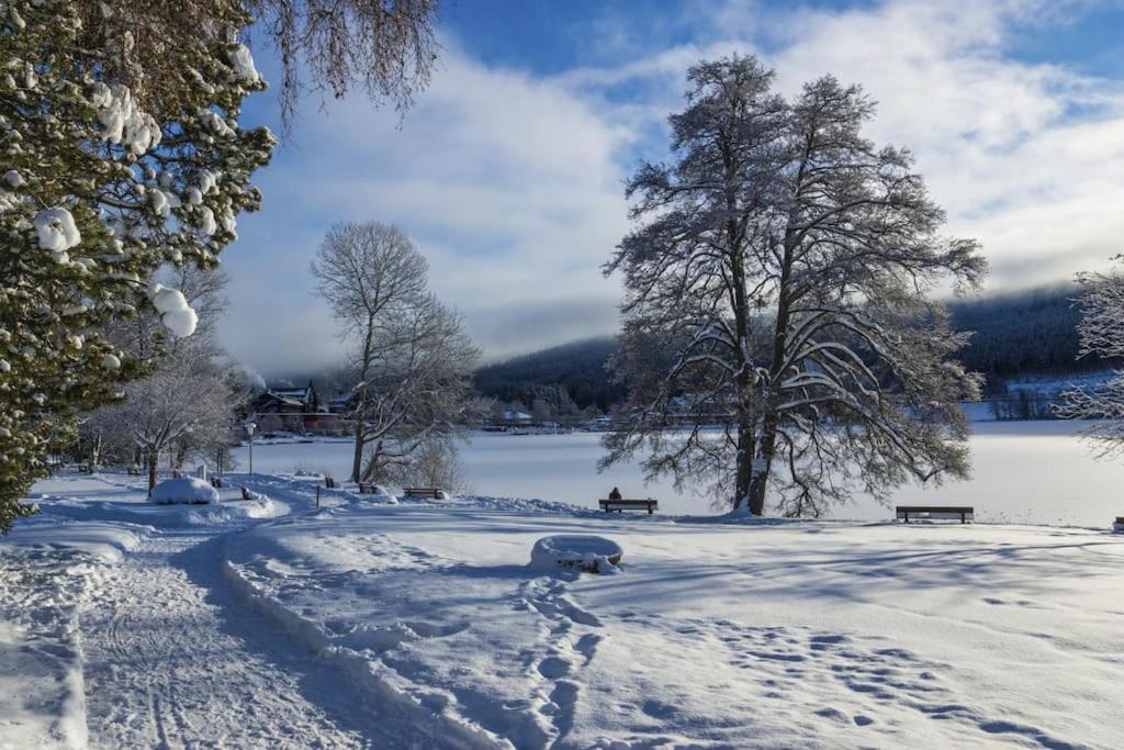Ferienwohnung Lotti + Hochschwarzwald Card Titisee-Neustadt Buitenkant foto